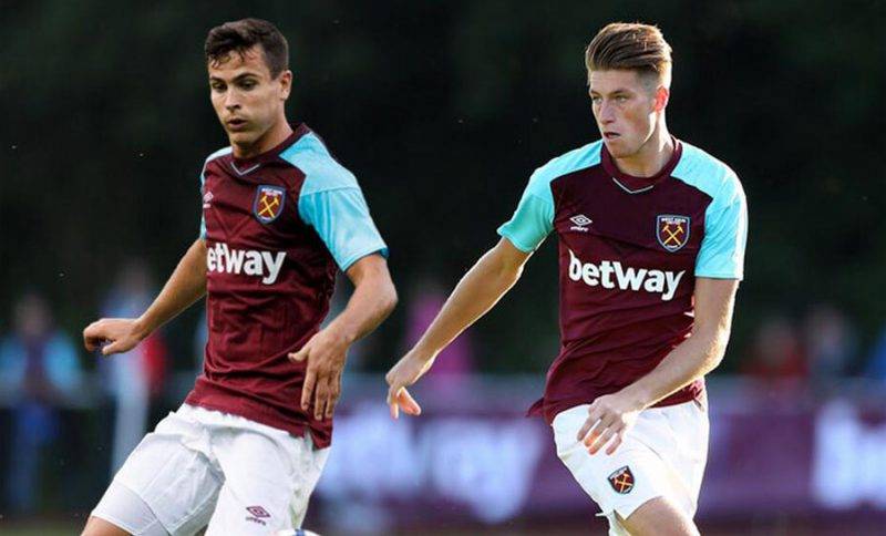 但对于专业 但对于专业